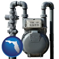 florida a residential natural gas meter
