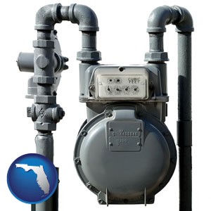 a residential natural gas meter - with Florida icon