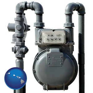 a residential natural gas meter - with Hawaii icon