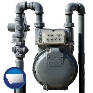 a residential natural gas meter - with Montana icon